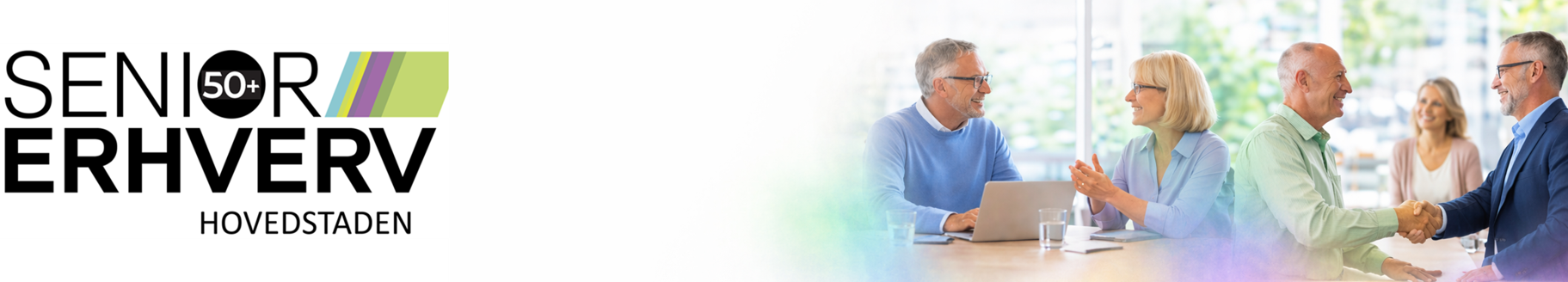 Banner med SEH logo og gruppe seniorer der sidder og taler
